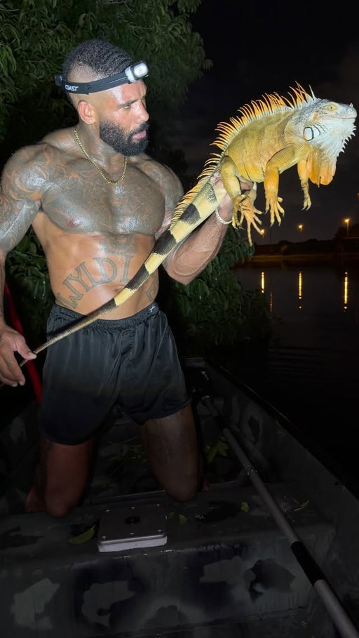Best caption wins 🦎