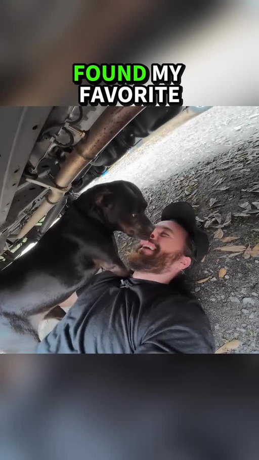 Millie is the best van building assistant.
