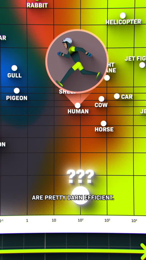 Which animal is the most efficient traveler?

This chart shows how efficiently all animals travel, including you!

The closer to the top, the more energy the animal uses, and the farther to the right, the bigger it is. And it turns out you, a human, are pretty darn efficient.

To find out what’s more efficient than a human, follow along!

#human #energy #science #animation