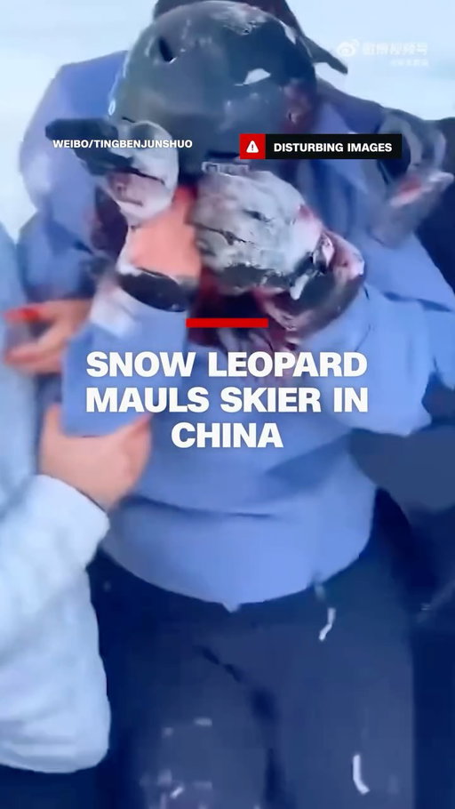A snow leopard attacked a skier in northern China after they stopped to take a picture with it.

Tap the link in @cnn's bio to read more.
