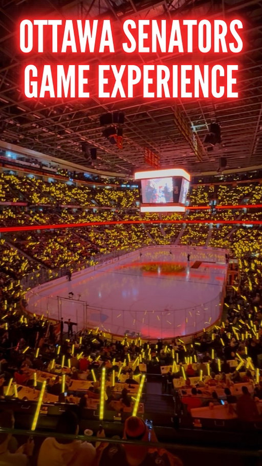 Here’s what it was like going to an Ottawa Senators game at Canadian Tire Centre for the very first time! 

This arena is widely regarded as one of, if not the worst arena in the NHL, so I wanted to see what watching a game here was really like.

#nhl #nhlhockey #ottawasenators #carolinahurricanes #nhlfaceoff 

(Know before you go: Canadian Tire Center, tips)