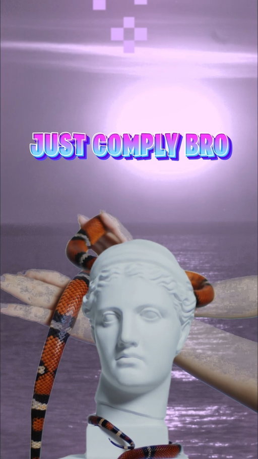 just comply, bro. its not that hard.