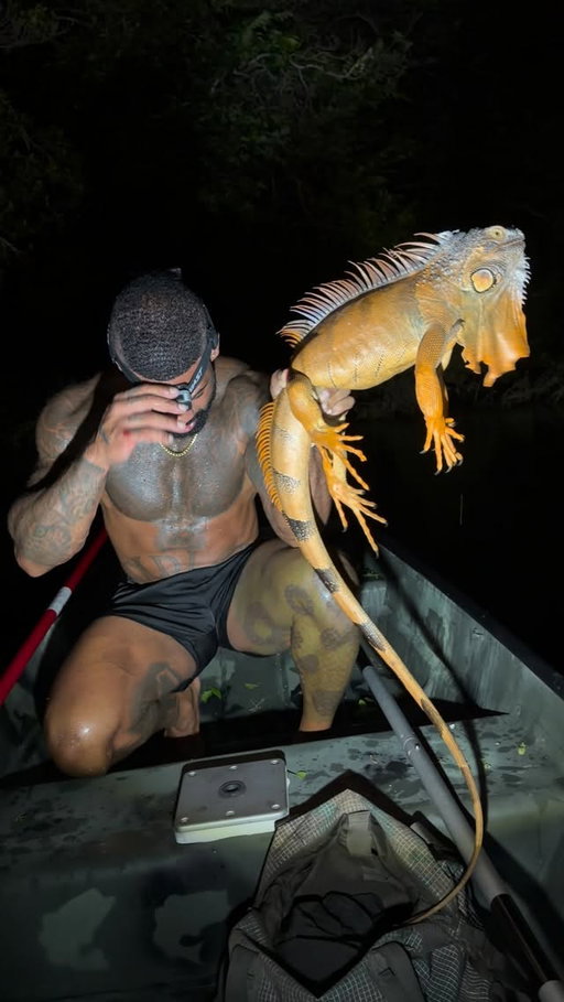 Best caption wins 🦎🇨🇴
Any animals in Colombia I should catch while I’m here 👀