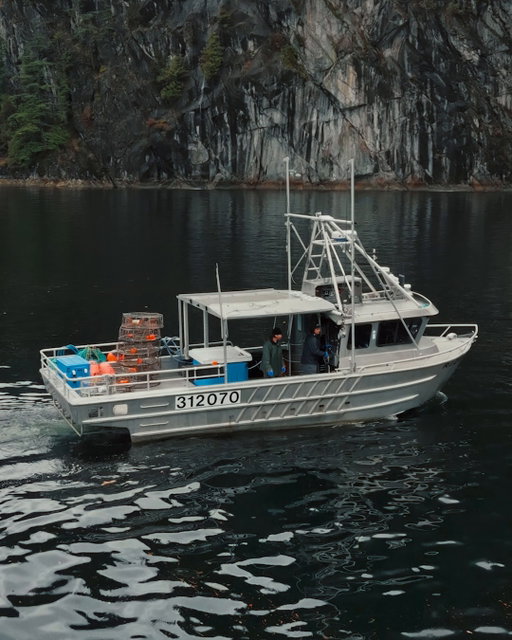 Smells of the sea, crabs, and fish guts: Fisherman Fraser and his wife Kathryn share the love of fishing, but don’t love the stink. Lysol Air Sanitizer helps them enjoy their passion without bringing the stink home by killing 99.9% of odor-causing bacteria* in the air. #ShareTheLoveNotTheStink 
*Use as directed.