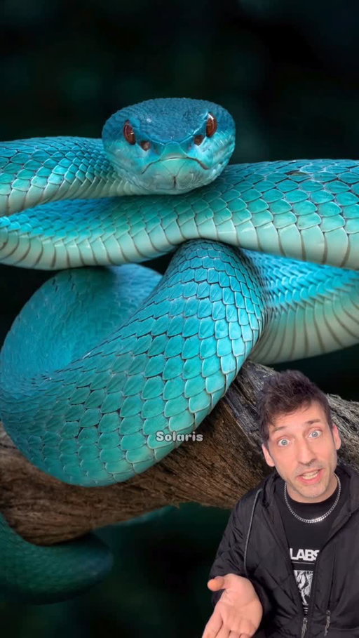 Yes, Gary De’snake is a real snake 👀 #funfact #didyouknow