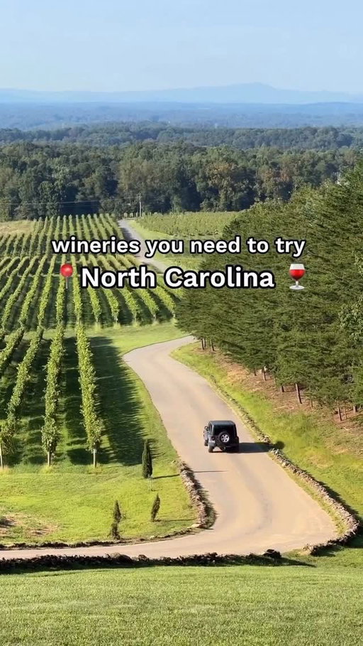Wineries you need to try in 📍North Carolina 🍷😍

follow me @jensensavannah for more NC/SC content ✨

#northcarolina #winery #vineyard #visitnc #travel wine 704 charlottenc