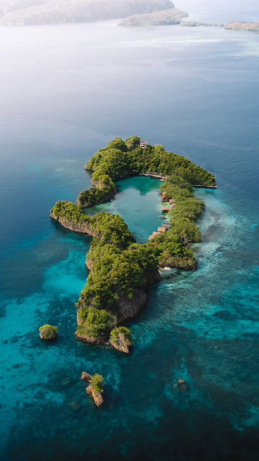 Is this the best place to stay in Raja Ampat? 😍
📍 Rufus Island, Raja Ampat 

Located within the stunning Fam Islands in the North of Raja Ampat lies Rufus Island. Famous for its natural emerald lagoon, clear turquoise waters and rich marine life as well as possibly being the most unique place to stay in Raja Ampat🩵

It is located only a short boat ride away (5-10mins) to the iconic Piaynemo viewpoint, which definitely should be on your list when visiting Raja Ampat 🏝️

It takes around 2.5hours by boat from Wasai to the Fam Islands and will cost around 2 million IDR ($120USD) one way. If you are already staying somewhere else first it is cheaper to have your host transfer you to your next destination 🚤

This island has two accommodations to choose from Rufus Homestay & Lagoon Dive Homestay both cost 500k IDR (~$30USD) per person per night, which includes 3 meals daily 💸

You can also visit this lagoon without staying overnight on the island as it’s a common stop on day trips during island hopping tours around the nearby Piaynemo and Fam islands 🤿

💡 All the info you need to explore The Last Paradise can be found in our travel guide, link in bio ✨

Send this to the person you want to explore The Last Paradise with & follow @tripseatravellers for more unique places to stay in paradise 🏝️

#exploreindonesia #rajaampat #westpapua #wonderfulindonesia #indonesiatravel