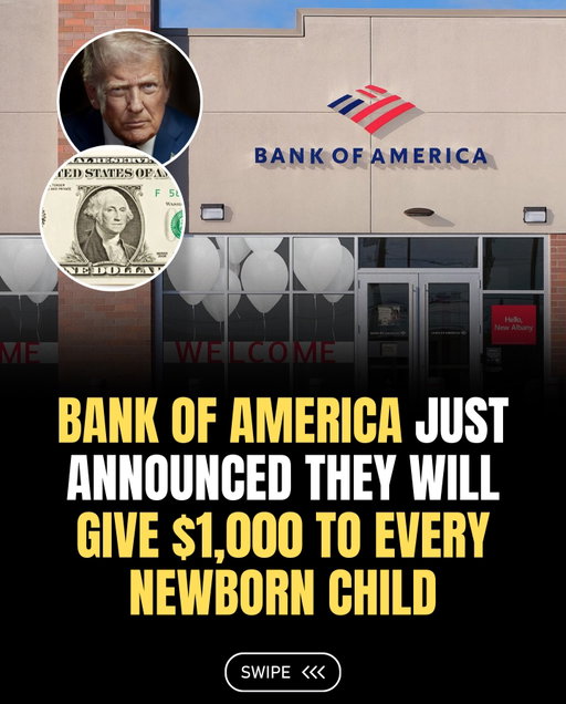 Bank of America announced it will give $1,000 to every newborn child through a new investment account program.

The program, started by the US government, is called “Trump Accounts” and will run until 2028.

Bank of America says it will match the contribution, meaning each child will receive $2,000 that cannot be accessed until age 18.