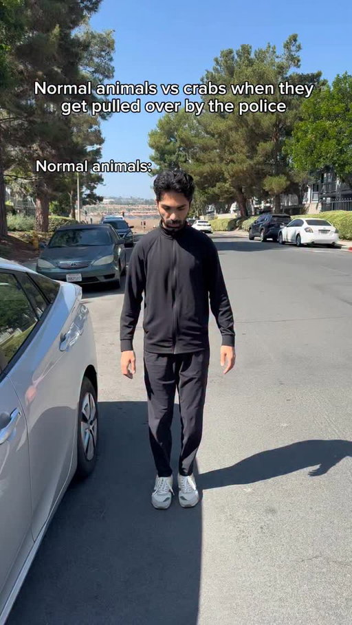 Normal animals vs crabs when they get pulled over by the police. #reels #skit #comedy #funny