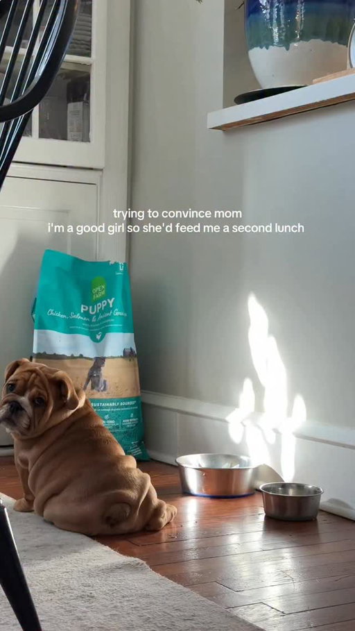 You’d never know she ate 5 mins ago