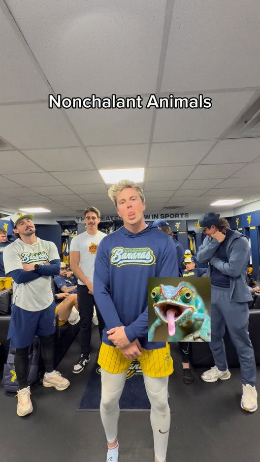 What Animals should we do next? 🦀🤣

#funny #cringe #animals #trynottocringe #savannahbananas