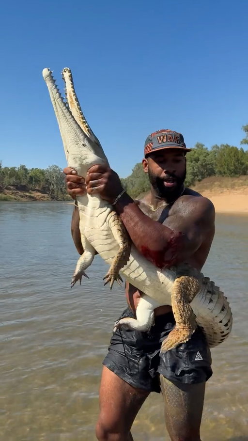 Best GIF WINS 🐊