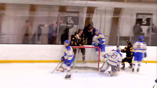 Struck gold twice tonight!

Jaden Goldie finishes the feed from Jaxson Murray for his second of the game, and the Warriors take down the #10 TMU Bold!

🎙️: @cameron_stirrup, @jay.shaw 
🎥: OUA.tv

#GoBlackGoGold