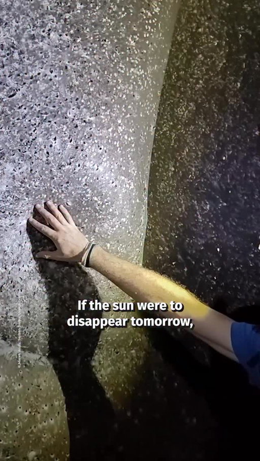 This is the world’s largest spiderweb.

Entirely underground, it’s home to an entire ecosystem. 

But how?

Written by @arckopolo 

Hosted by @casper_mebius 

#science #veritasium #physics #biology #spider