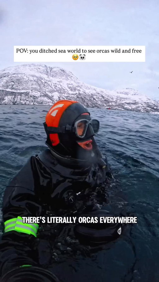 a day out of a dream 🥹🐼🥶🇳🇴

DM me the word “ORCA” to join us here this October and November in Norway!