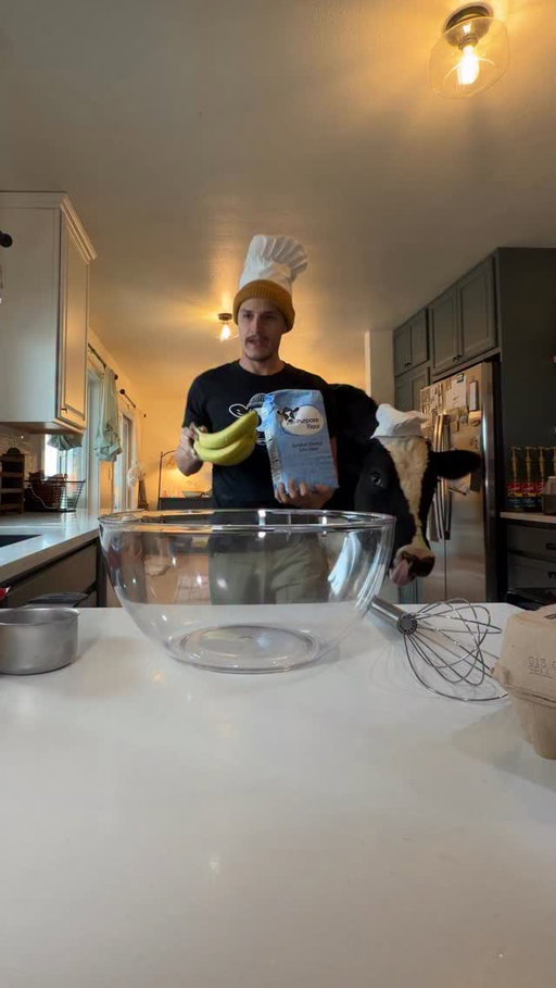 Trying to make banana pancakes with Bruce! #cow #brucethecow #animals #farm
