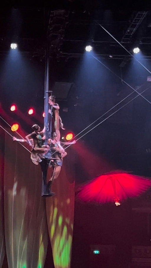 Another season, another combo! @ovo.cirquedusoleil 🔥
Thank you to my incredible porters @viccoou @privat.akrobatik.wien 💪🏼
 
#circus#cirquedusoleil#cirquedusoleilovo#cirqueartist#cradle