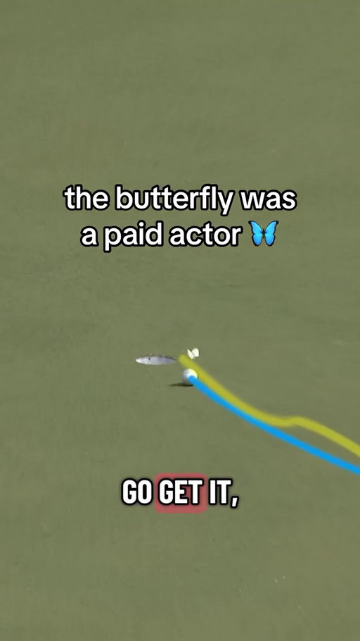 putterfly 😂 #TOURVault