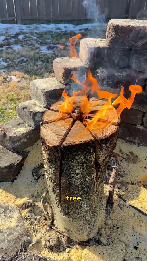 Making a Swedish Torch after 50+ hours without power because of an ice storm 🍳🔥

Stay safe and warm out there!