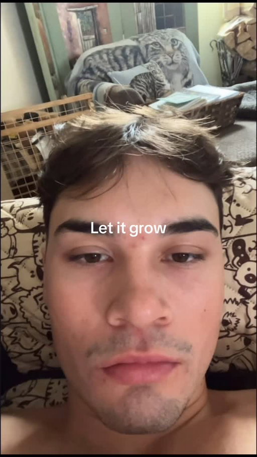 Hair is law