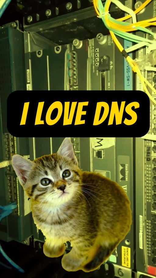 i love dns it always works great for me 👄✨

video was created by the luminary genius @citiesbydiana 

#networkengineer #cybersecurity #womenintech #uwu #dns