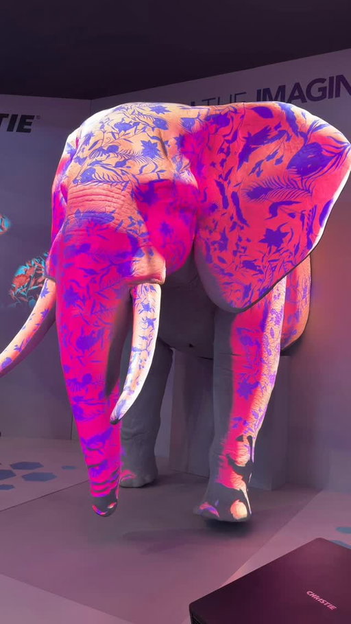 Projection mapping keeps redefining how we experience spaces and visuals. From high-brightness projection to advanced processing and show control, technology continues to turn any surface into a living canvas.

#ISE2026