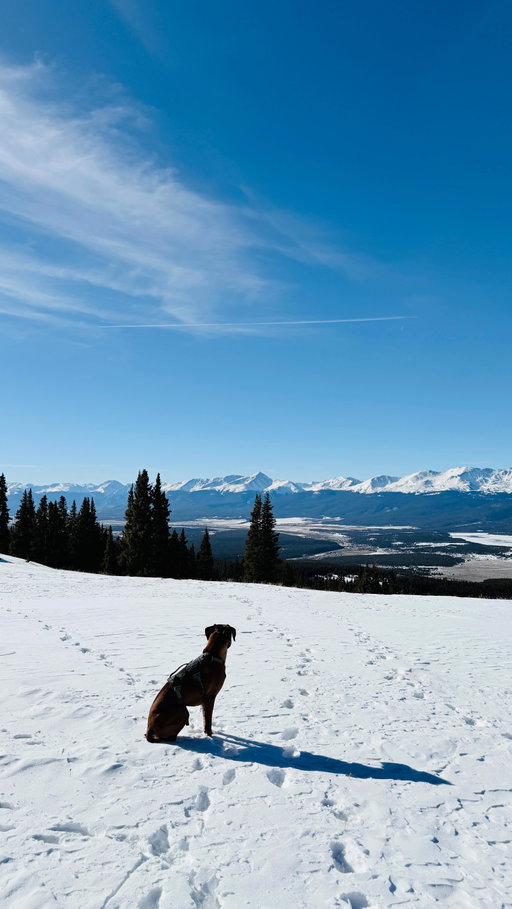 running in the winter is hard… let’s make it a little easier & a lot more fun⭐️

what I’m wearing:
- Performance tights 7/8
- Performance bra
- Core long T
- Club T
- Cloudsurfer trail 2

@on #onpartner