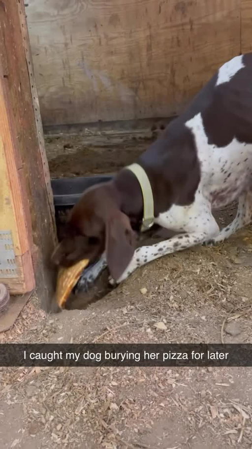Saving that for later 💯

(Credit: @k80luckystables)