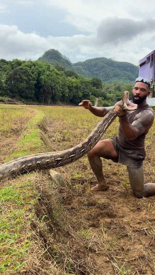 Comment your thoughts in your language 🐍