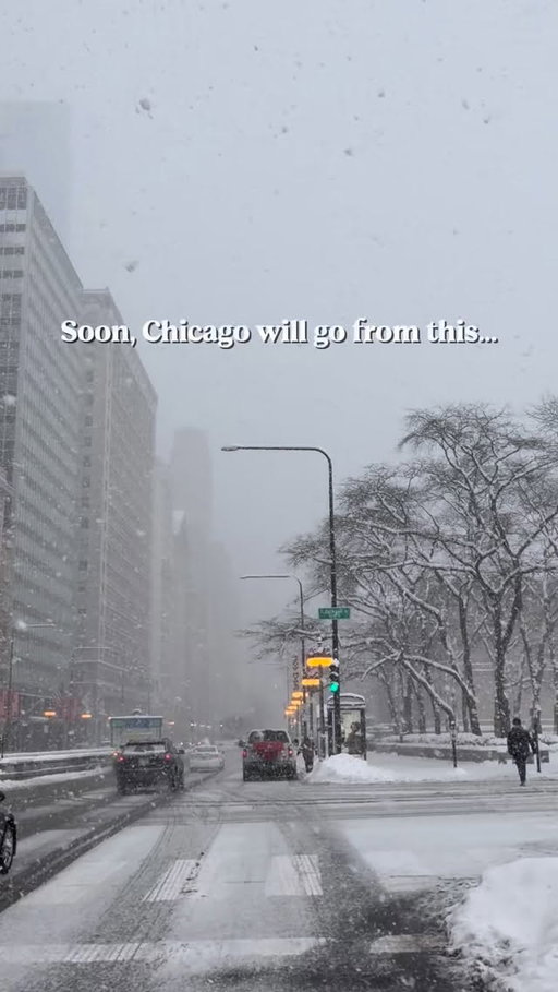 Soon, Chicago will go from this… to this. And we’ll pretend winter never happened.

#chicagowinter #chicagosummer #chicagoexplore #chicagogrammers #windycity