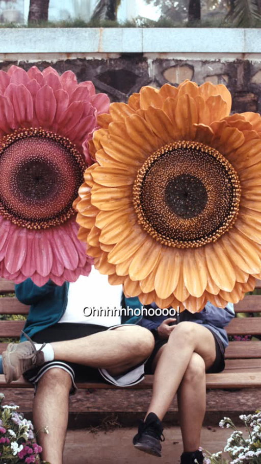 2 phool, 1 maali, valentine’s manane chalein manali? 🥰

[valentines week, romance, sunflower, phool, couple reels, explore page]