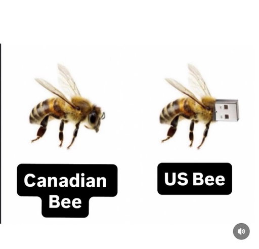 Dad joke? 😂😂😂
