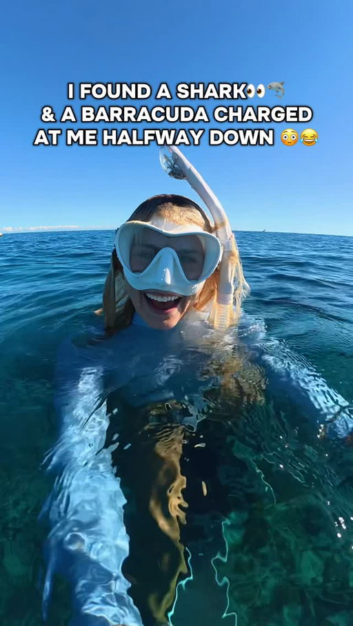 The casual barracuda boop 😂👋 Sorry bud…not dealing with that today🙄 I was on my mission to find a SHARK👀🦈 Full dive vlog coming tomorrow, so follow along to see it!👀🤿🛥️ @jeanamariebutler 

#florida #sharks #barracuda #floridakeys #freediving