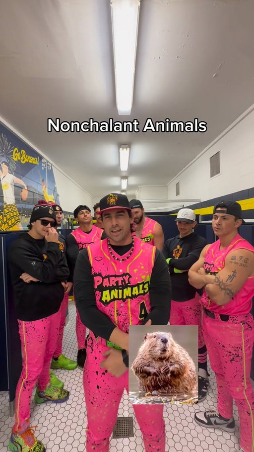 Comment your favorite below 🦘🤣

#funny #cringe #trynottocringe #animals #nonchalant