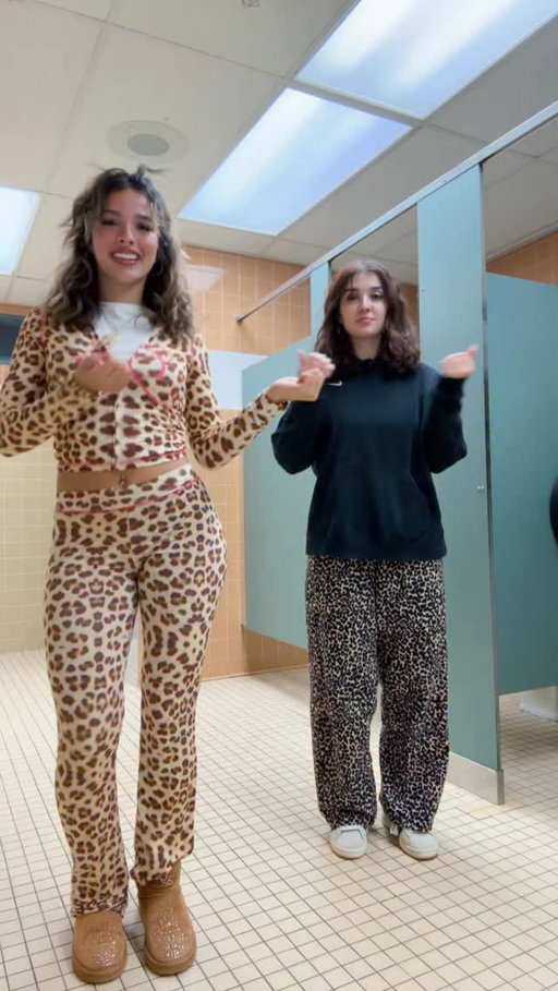 Cheetah 🐆