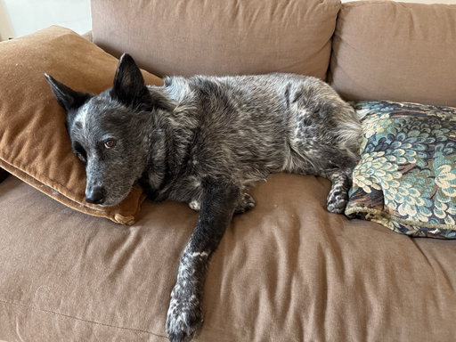 Benjito is already posted up for Benito.
