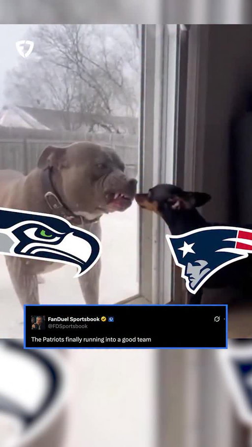 The Patriots FINALLY ran into a good team 💀

#patriots #seahawks #nfl #football #superbowl