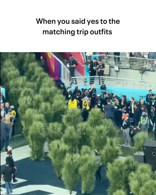 Meme bunny