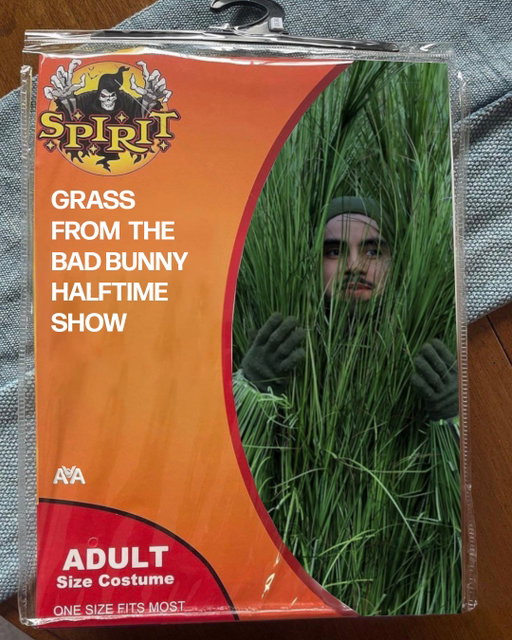 Halloween 2026

#badbunny #badbunnyconcert #halftimeshow #superbowl