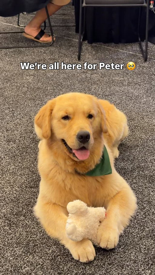 Peter is basically royalty 🐶

#cfb #collegefootball