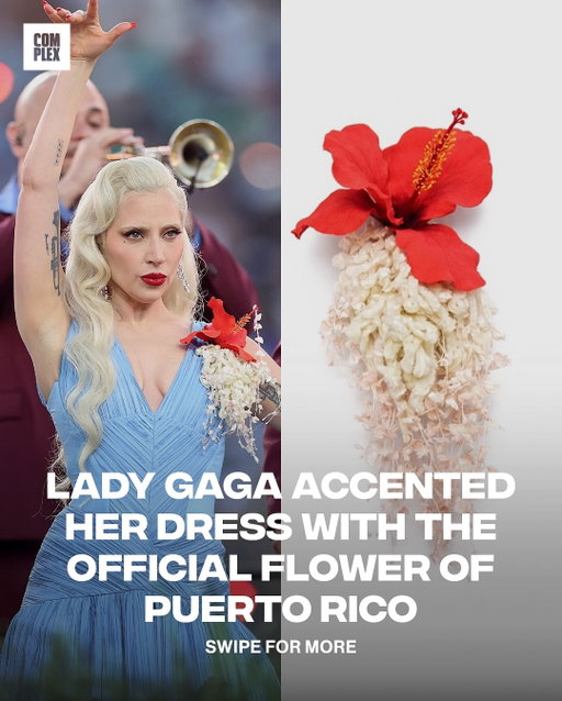 This small detail means so much ❤️🇵🇷

Lady Gaga’s custom Luar dress was adorned with a custom Flor de Maga corsage - the official flower of Puerto Rico 

The corsage was custom made by @piersatkinson