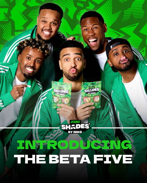 INTRODUCING THE BETA FIVE!!!