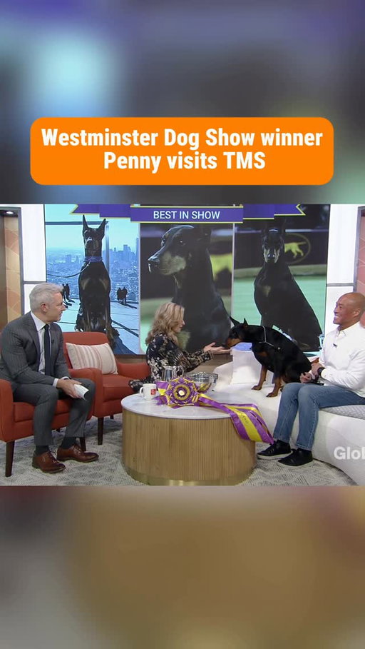 The Westminster Dog Show took place in New York, and Doberman Pinscher Penny took home the top prize! She joins our hosts @jmacspeaks and @carolynglobal to chat about her win!

#westminsterdogshow #2026westminsterdogshow #pennythedoberman #tms #themorningshow #morningnews