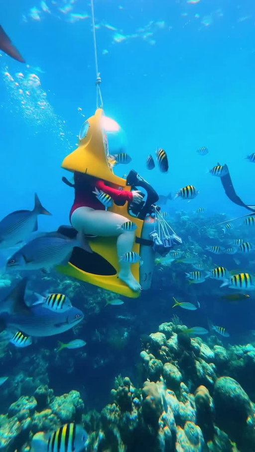 follow @georgeandcris for travel inspo 😍

Send this to your adventure buddy! 🐠😍

🤿 Did you know you can explore the vibrant reefs of Roatán on your very own underwater scooter? With BOSS Roatán, you glide beneath the Caribbean waves surrounded by colorful coral, tropical fish, and other fascinating sea life! 🐢💙

🪸 This experience was unforgettable! Cruising along the ocean floor, breathing comfortably inside your scooter helmet, and watching schools of fish dance around you… it was pure magic. ✨

DETAILS BELOW 👇

🏷️ Price: We did the “2 in 1” package which was around $125 per person & included underwater scooters + snorkeling. All gear is provided, just bring your swimsuit!

⏱️ Time: The full experience lasts about 3 hours, including orientation, scooter time, snorkel time, & surface breaks.

🤿 Experience: No scuba certification or swimming skills required. If you can sit and breathe, you can do this! (Obviously for the snorkeling portion, you will need to know how to swim.)

Who would you ride an underwater scooter with?! 

#Honduras #Caribbean  #TravelBucketList #adventuretravel