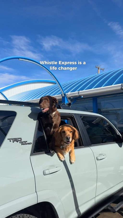 A very needed errand I’ve avoided too long 😅 @whistlexpress is a car wash + self-vacuum station that’s so convenient for cleaning your car inside and out. They have new locations all over colorado! Truly a colorado dog owner’s dream! 

Download the Whistle Express app and apply code Colorado10 at checkout for any unlimited wash package and get your first month for just $10! 

#WhistleExpress #WhistleExpressPartner