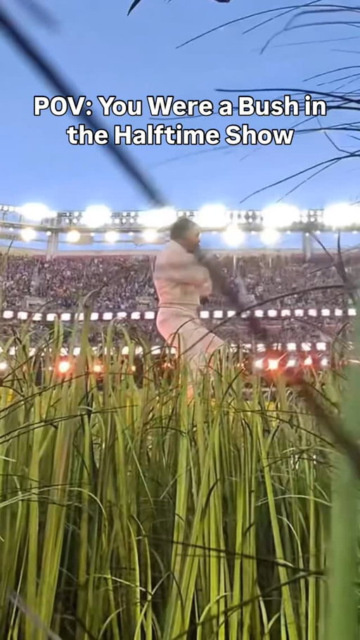 Bad bunny’s bush #viral #funny #halftime