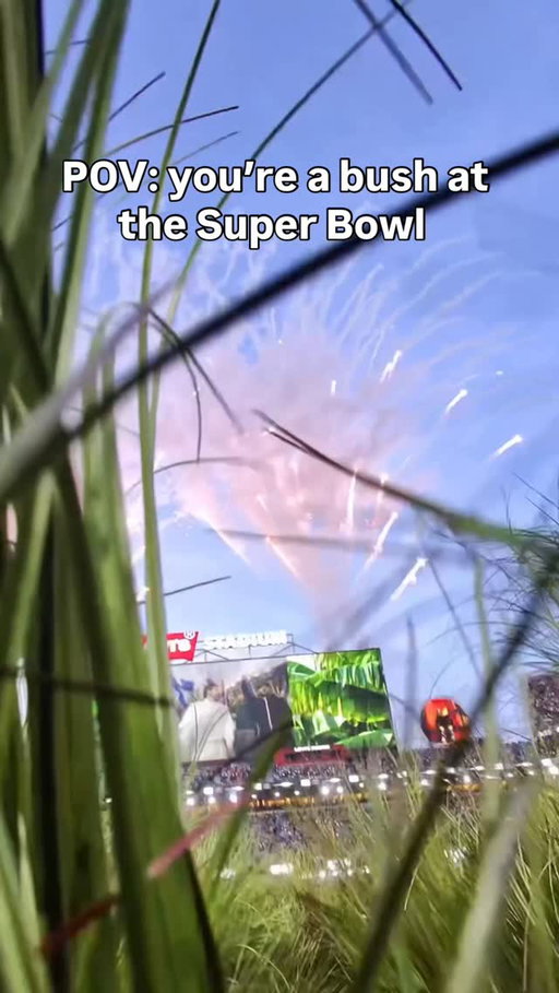 I was a bush #viral #superbowl #badbunnypr