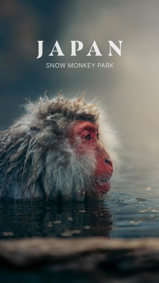 One of the most unique wildlife experiences I’ve ever had 🐒♨️

Watching snow monkeys soak in a natural hot spring in Japan was honestly incredible to see in person. This is Jigokudani Snow Monkey Park, the only place in the world where wild monkeys bathe in natural onsens during winter.

There’s a short 20–30 minute walk into the park, and once you arrive, you’ll see the monkeys feeding, relaxing, and interacting with one another. The most surprising part was how they completely ignore the people around them, which made the whole experience feel really peaceful.

We went early in the morning to beat the crowds, and with snow all around, it made the experience feel even more magical.

It’s popular for a reason and absolutely worth the trip if you’re visiting Japan.

SAVE THIS FOR LATER ⬇️

📍 Jigokudani Snow Monkey Park, Nagano, Japan
🚶 20–30 min walk from the entrance
💰 ¥800 adults / ¥400 children
⏰ Open 9am–4pm
❄️ Best time to visit: Winter Months
🚗 1 hr from Nagano / 3.5 hrs from Tokyo

#snowmonkeys #japantravel #nagano #visitjapanjp #snowmonkeypark