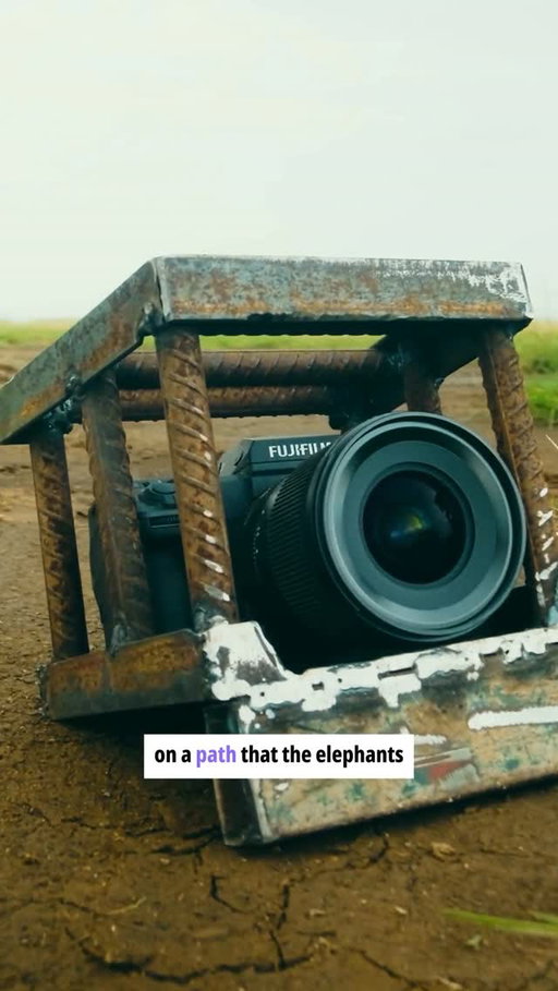 Wildlife cinematographer @bobpoolefilms documenting the lives of elephant bulls in Mount Kilimanjaro and Amboseli with FUJIFILM GFX100 II 📷 

Watch his latest documentary, “Tusker: Brotherhood of Elephants,” streaming on @pbs through February 11th.

#MoreThanFullFrame