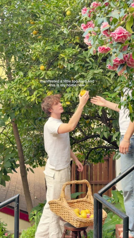 This is paradise ✨ getting to live in this house truly feels like a dream. Every morning I have a little moment of “wow I can’t believe this is our life”. The lemon trees have been going absolutely wild lately, so we picked some the other day, and it felt so special to grow something in the garden that we get to use while cooking. We are definitely going to start planting more fruits and vegetables in the spring 🍋✨ what do you think we should plant?

#interiorinspo #apartmentdecor #designinspo #homestyling #fleamarketfinds